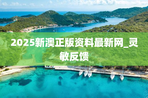 2025新澳正版资料最新网_灵敏反馈
