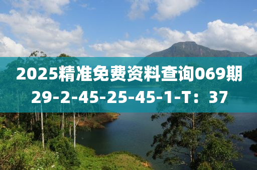 2025精准免费资料查询069期29-2-45-25-45-1-T：37