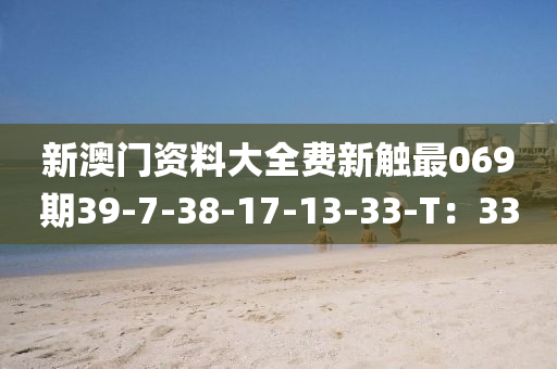 新澳门资料大全费新触最069期39-7-38-17-13-33-T：33