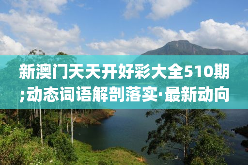 新澳门天天开好彩大全510期;动态词语解剖落实·最新动向