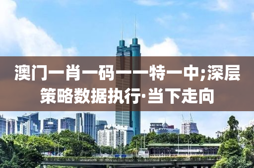 澳门一肖一码一一特一中;深层策略数据执行·当下走向