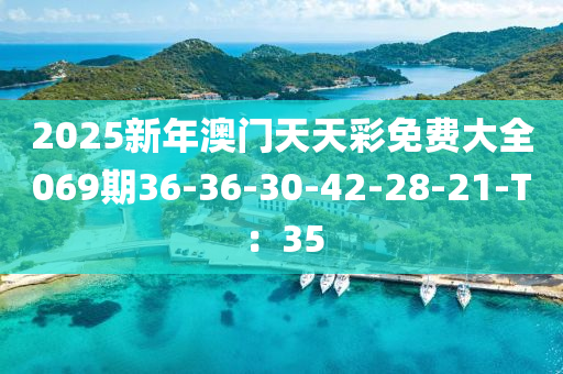 2025新年澳门天天彩免费大全069期36-36-30-42-28-21-T：35
