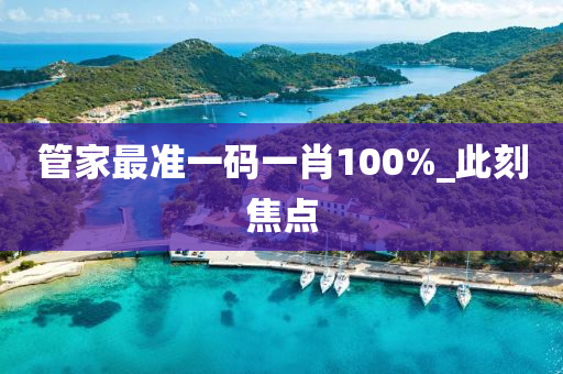 管家最准一码一肖100%_此刻焦点