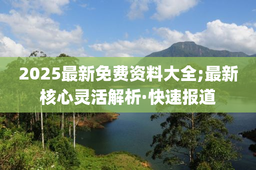 2025最新免费资料大全;最新核心灵活解析·快速报道
