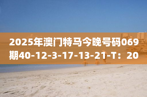 2025年澳门特马今晚号码069期40-12-3-17-13-21-T：20