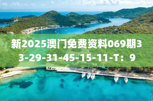 新2025澳门免费资料069期33-29-31-45-15-11-T：9