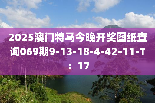 2025澳门特马今晚开奖图纸查询069期9-13-18-4-42-11-T：17
