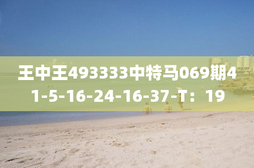 王中王493333中特马069期41-5-16-24-16-37-T：19