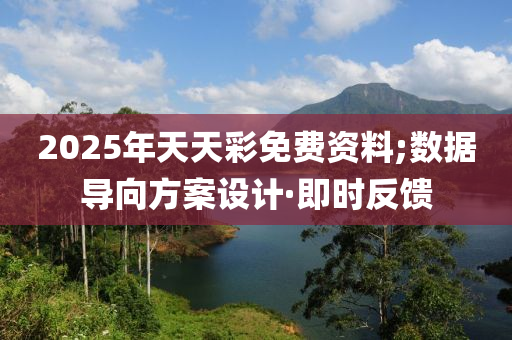 2025年天天彩免费资料;数据导向方案设计·即时反馈
