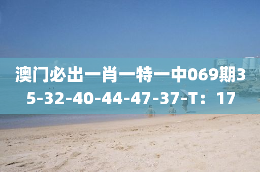 澳门必出一肖一特一中069期35-32-40-44-47-37-T：17