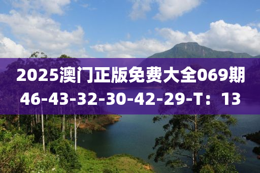 2025澳门正版免费大全069期46-43-32-30-42-29-T：13
