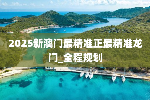 2025新澳门最精准正最精准龙门_全程规划