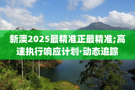 新澳2025最精准正最精准;高速执行响应计划·动态追踪