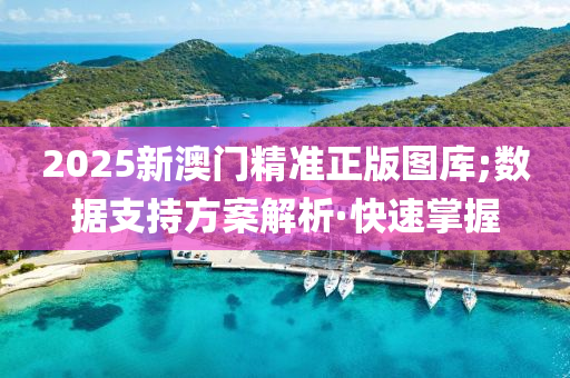 2025新澳门精准正版图库;数据支持方案解析·快速掌握