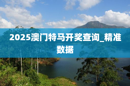 2025澳门特马开奖查询_精准数据
