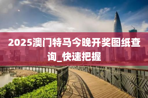 2025澳门特马今晚开奖图纸查询_快速把握