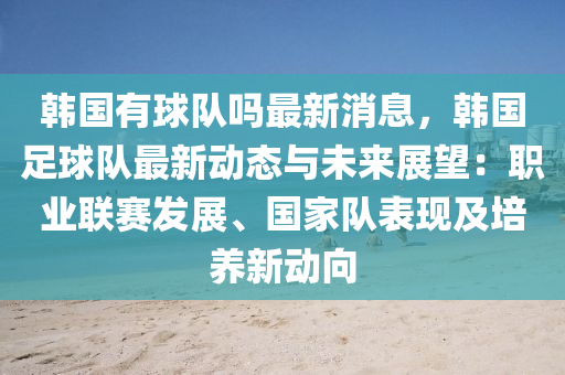 韩国有球队吗最新消息，韩国足球队最新动态与未来展望：职业联赛发展、国家队表现及培养新动向