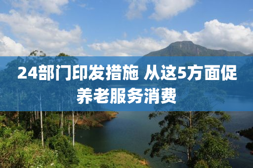 24部门印发措施 从这5方面促养老服务消费