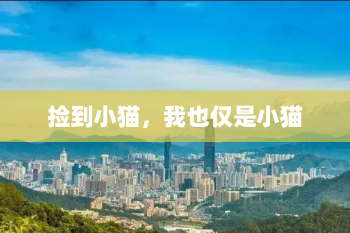 捡到小猫，我也仅是小猫