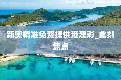 新奥精准免费提供港澳彩_此刻焦点