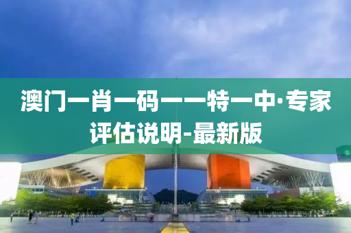 澳门一肖一码一一特一中·专家评估说明-最新版