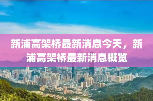 新浦高架桥最新消息今天，新浦高架桥最新消息概览