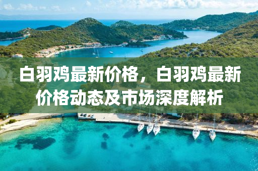 白羽鸡最新价格，白羽鸡最新价格动态及市场深度解析
