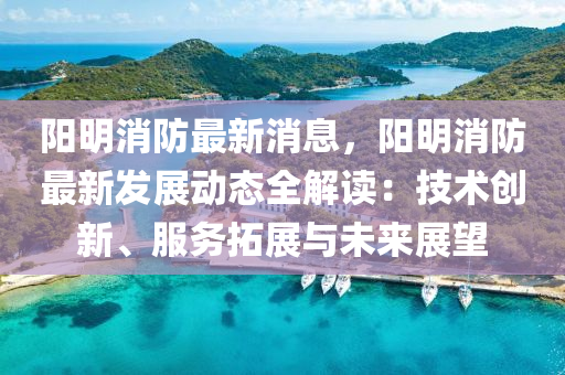 阳明消防最新消息，阳明消防最新发展动态全解读：技术创新、服务拓展与未来展望