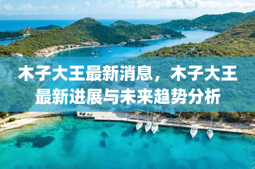木子大王最新消息，木子大王最新进展与未来趋势分析