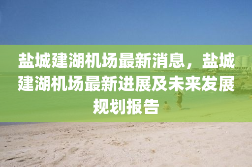 盐城建湖机场最新消息，盐城建湖机场最新进展及未来发展规划报告