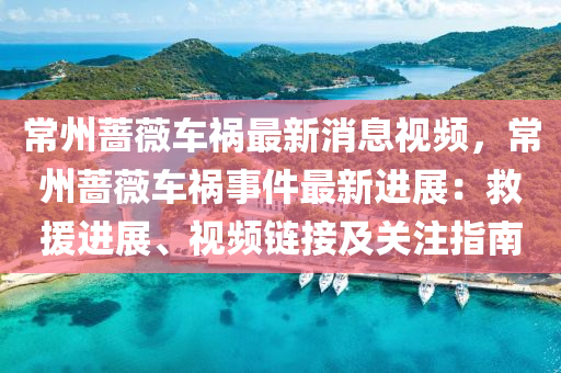 常州蔷薇车祸最新消息视频，常州蔷薇车祸事件最新进展：救援进展、视频链接及关注指南