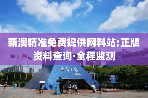 新澳精准免费提供网料站;正版资料查询·全程监测