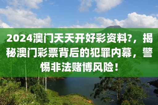 2024澳门天天开好彩资料?，揭秘澳门彩票背后的犯罪内幕，警惕非法赌博风险！