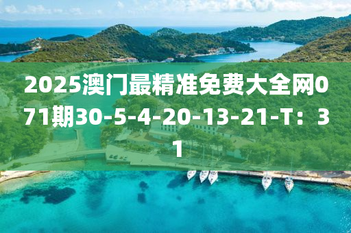 2025澳门最精准免费大全网071期30-5-4-20-13-21-T：31