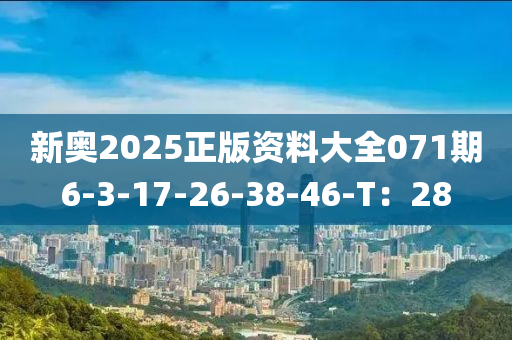 新奥2025正版资料大全071期6-3-17-26-38-46-T：28