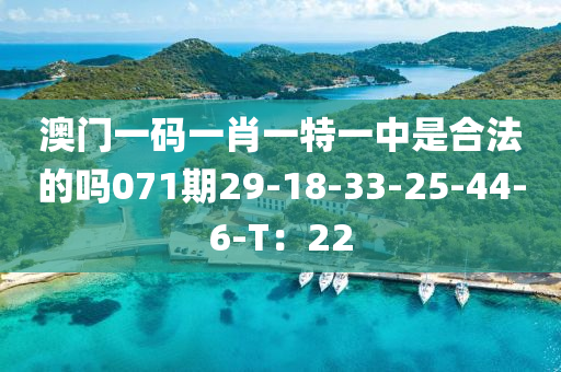 澳门一码一肖一特一中是合法的吗071期29-18-33-25-44-6-T：22