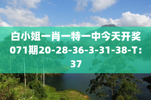 白小姐一肖一特一中今天开奖071期20-28-36-3-31-38-T：37