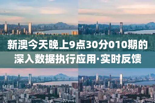 新澳今天晚上9点30分010期的深入数据执行应用·实时反馈
