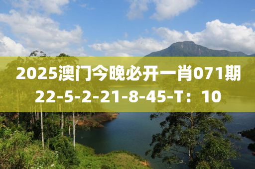 2025澳门今晚必开一肖071期22-5-2-21-8-45-T：10