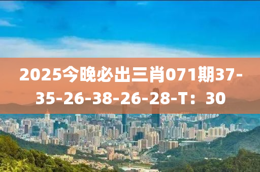 2025今晚必出三肖071期37-35-26-38-26-28-T：30