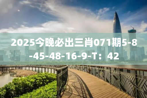 2025今晚必出三肖071期5-8-45-48-16-9-T：42