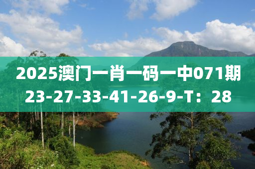 2025澳门一肖一码一中071期23-27-33-41-26-9-T：28
