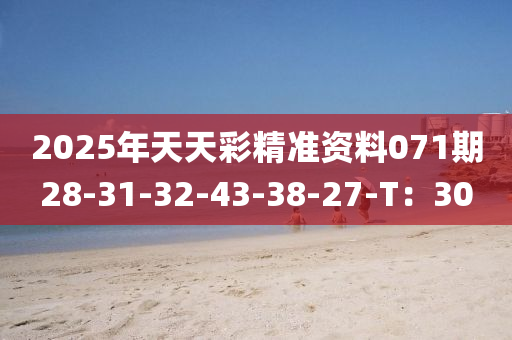 2025年天天彩精准资料071期28-31-32-43-38-27-T：30