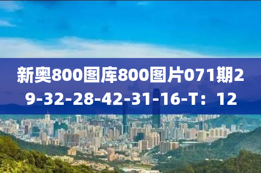 新奥800图库800图片071期29-32-28-42-31-16-T：12