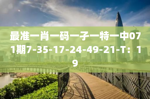 最准一肖一码一孑一特一中071期7-35-17-24-49-21-T：19