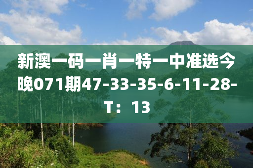 新澳一码一肖一特一中准选今晚071期47-33-35-6-11-28-T：13