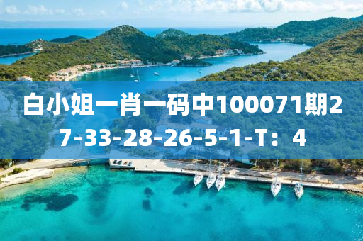 白小姐一肖一码中100071期27-33-28-26-5-1-T：4