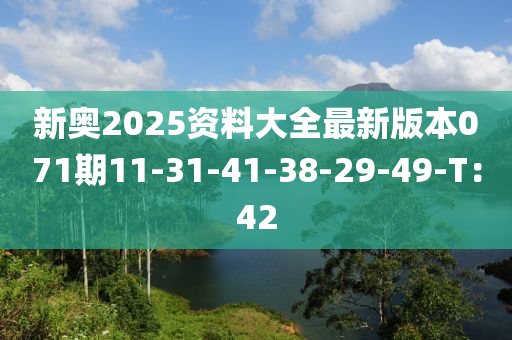 新奥2025资料大全最新版本071期11-31-41-38-29-49-T：42