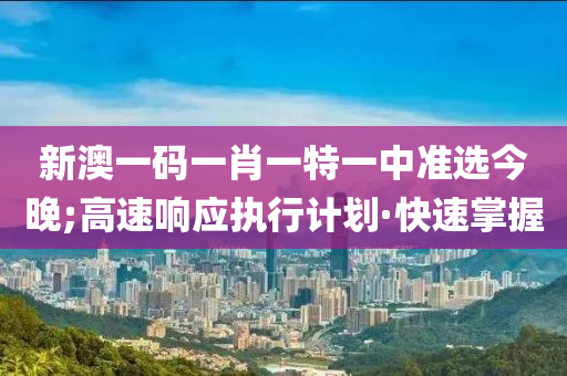 新澳一码一肖一特一中准选今晚;高速响应执行计划·快速掌握