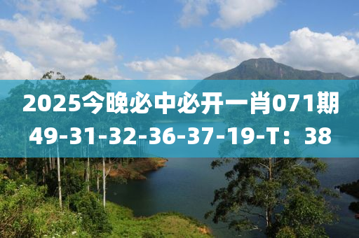 2025今晚必中必开一肖071期49-31-32-36-37-19-T：38